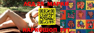 круглые Кингисепп