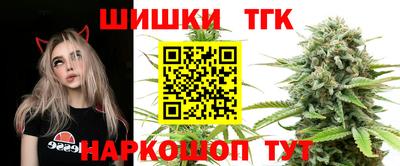 круглые Кингисепп