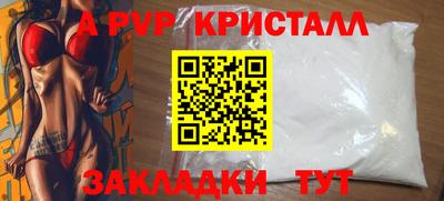 круглые Кингисепп