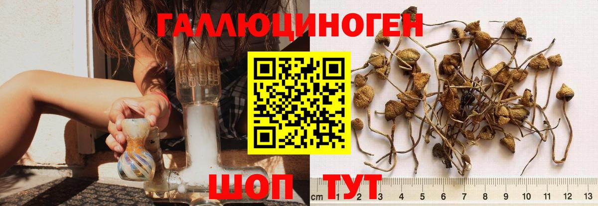 Псилоцибиновые грибы ЛСД Кубинка